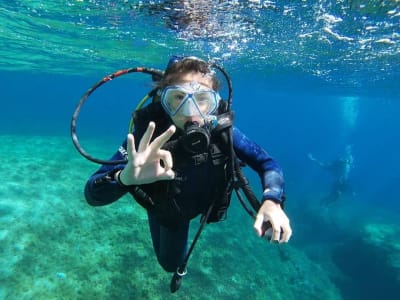 Introductory diving in Calvi, Corsica