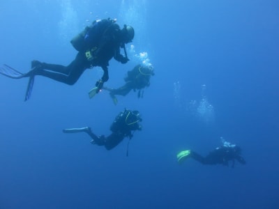 Discover Scuba Diving around Marettimo, Aegadian Islands