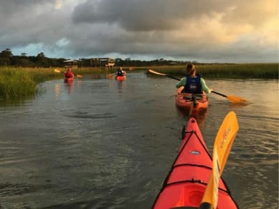 Kayaking or Stand Up Paddling excursion in the canals of Murtosa, near Aveiro