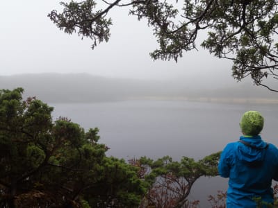 Hiking excursion to Roca de Chambre in Terceira Island