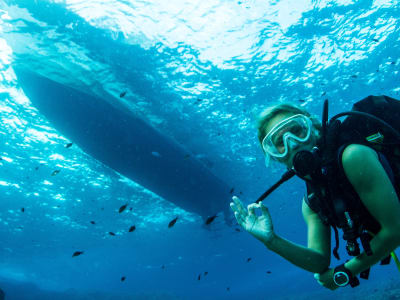 Bautizo de buceo en Illes Malgrats, desde Santa Ponsa, Mallorca