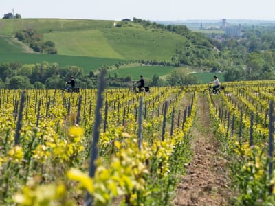 Recorrido en bicicleta eléctrica por Champagne, Reims