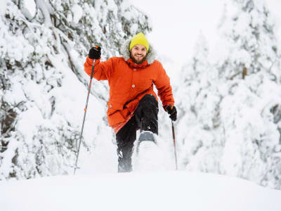 Safari con raquetas de nieve en Saariselkä