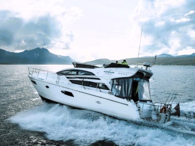 Walbeobachtungstour auf einer Luxusyacht ab Tromsø