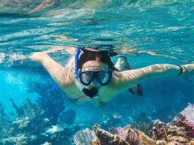 Excursión guiada de snorkel en el arrecife de coral de Le Port, Reunión