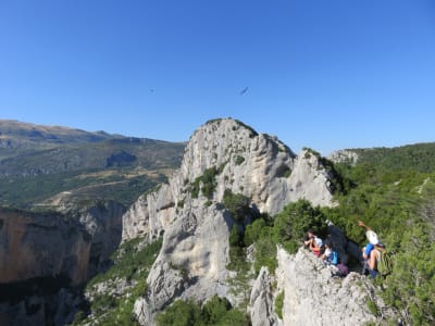 Senderismo guiado y descubrimiento de buitres en el Verdon