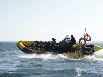 Balade en bateau sur la Côte d'Azur au départ de Nice