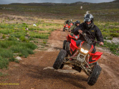 Quad biking through the fynbos and mountains near Hermanus