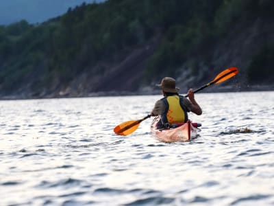 Excursión guiada en kayak de mar por el río San Lorenzo desde Saint-Siméon