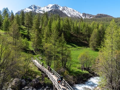 Mountain survival course in the Ubaye valley