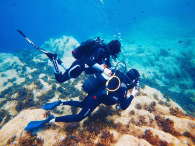 First dive in Calvi, Corsica