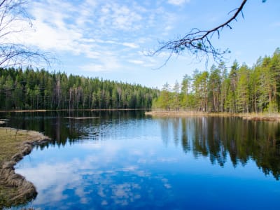 Randonnée dans le parc national de Nuuksio au départ d'Helsinki