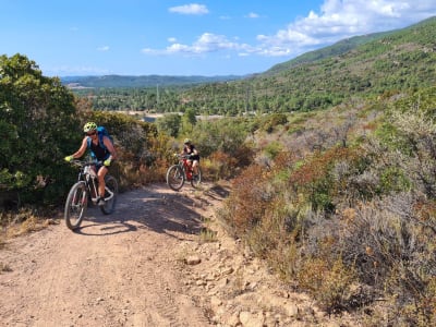 Paseo privado en bicicleta eléctrica de montaña en Solenzara, cerca de Porto-Vecchio