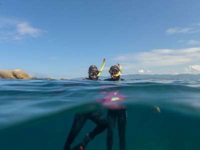 Excursion snorkeling à Propriano, Corse