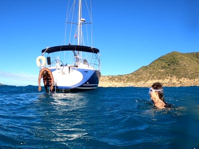 Excursion en bateau et snorkeling à Saint-Martin