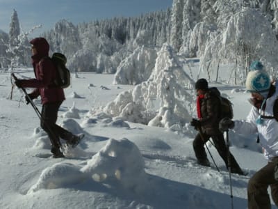 Snowshoeing excursions in Chartreuse near Grenoble