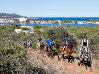 Paseo a caballo en el Puig de Sant Martí desde Alcúdia, Mallorca