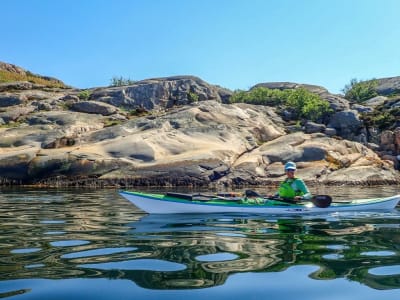 Excursion d'une demi-journée en kayak de mer au départ de Grebbestad dans le Bohuslän