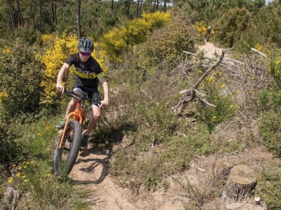 Alquiler de Fat Bike eléctricas en La Palmyre