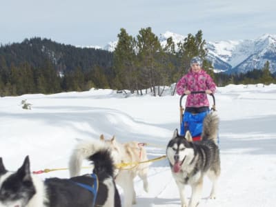 Hundeschlittenfahrt und Schneeschuhwanderung im Kleinwalsertal, Österreich