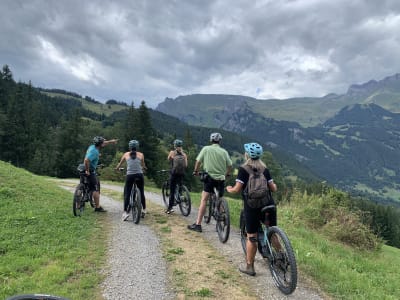 2 Stunden geführte E-Bike Tour rund um Grindelwald