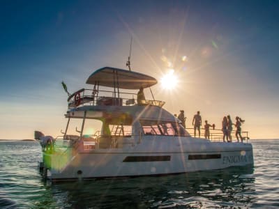 Sunset Cruise from Cape Town with Champagne