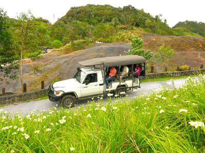 Private Jeep-Tour im Vallé-Park, Mauritius