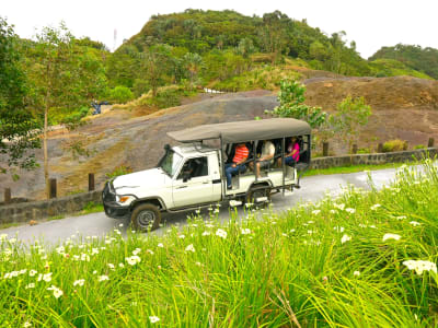 Tour privé en jeep à La Vallée des Couleurs Nature Park, Île Maurice