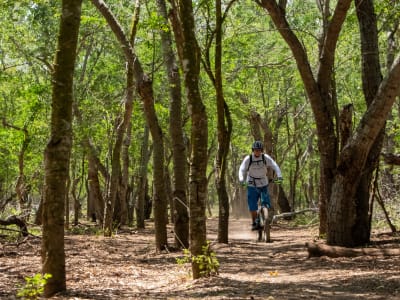 Excursion en trottinette électrique dans la forêt de l'Etang-Salé, La Réunion