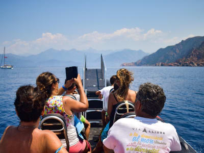 Excursión en barco al Golfo de Oporto desde Calvi