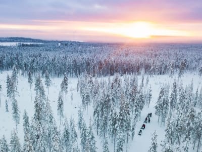 Arktische Schlittenfahrt am Polarkreis bei Rovaniemi