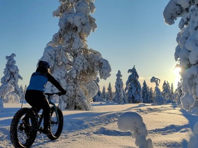 Excursión en Fat Biking desde Saariselkä