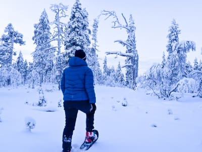 Excursión con raquetas de nieve en el Parque Nacional Urho Kekkonen desde Saariselkä