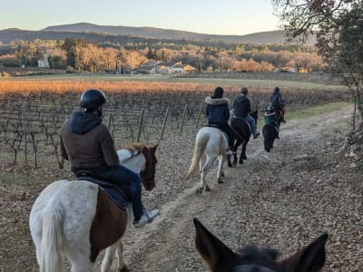 Balade à cheval en Provence Verte à Brignoles avec dégustation de vin et visite de cave