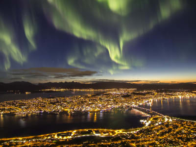 Persecución de auroras boreales desde Tromsø