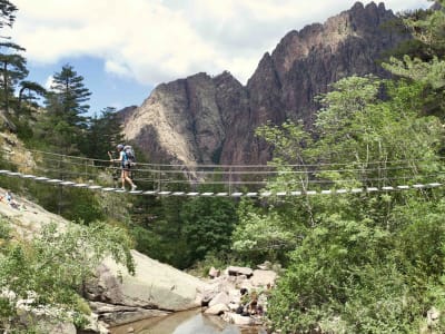 Excursión guiada por el bosque de Bonifatu, en la región de Balagne, cerca de Calvi