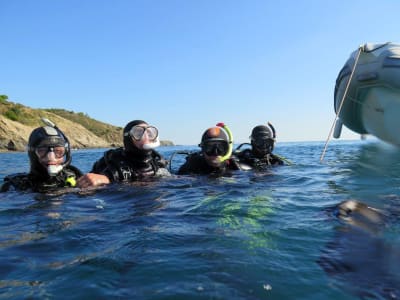 Formation Basic Diver SSI dans le Parc Naturel Marin du Golfe du Lion, Argelès-Sur-Mer