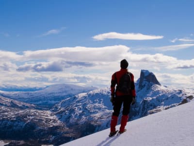 Guided snowshoeing excursion in Bodø