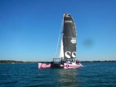 Halbtägige Katamaran-Kreuzfahrt auf dem Golf von Morbihan