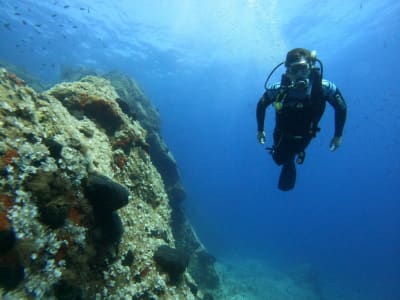 Découverte de la plongée sous-marine à Naxos