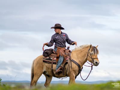 Journée complète d'équitation dans un ranch norvégien à Alta