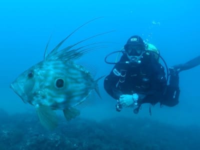 Curso de buceo PADI con certificación en Barcelona