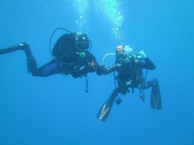 Entdecken Sie das Tauchen in Tsilivi, Zante