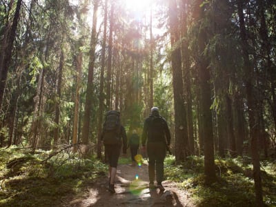 Private Wanderung im Sipoonkorpi-Nationalpark und in der Altstadt von Porvoo ab Helsinki