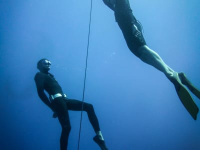 3D Freediving courses in Hyere, France