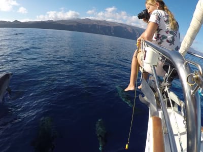 Whale watching and snorkeling sailing tour from El Hierro