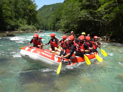 Aventure de rafting d'une journée sur la rivière Tara dans le parc national de Durmitor