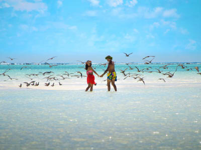 Excursion en catamaran à Tetiaroa depuis Papeete, Tahiti