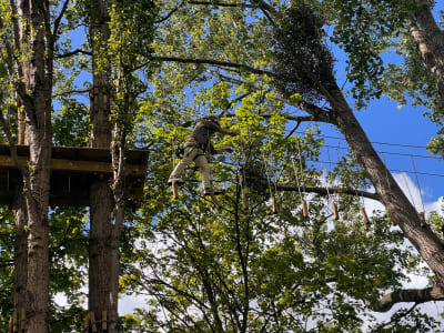 Excursión por las copas de los árboles en Accrocamp Rouen