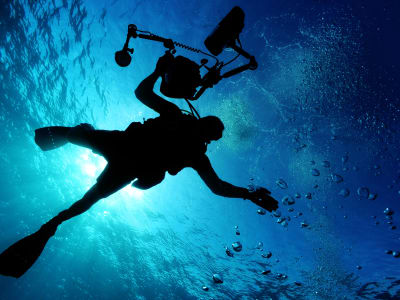 Discover scuba diving at the Professor Luíz Saldanha Marine Park in Sesimbra